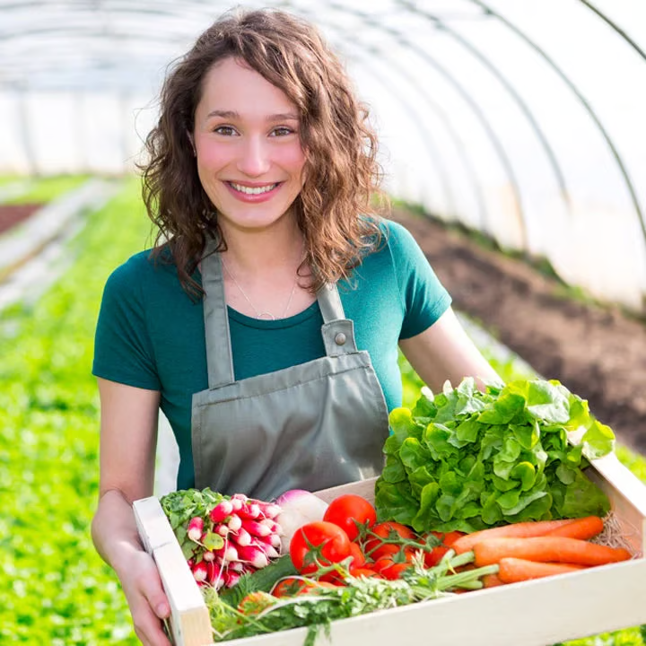 š„Seasonal promotionš„Yegbong⢠Plant fertilizer enhancer