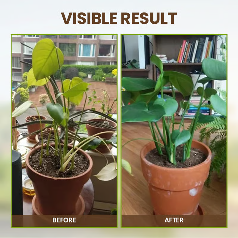 🔥Seasonal promotion🔥Yegbong™ Plant fertilizer enhancer