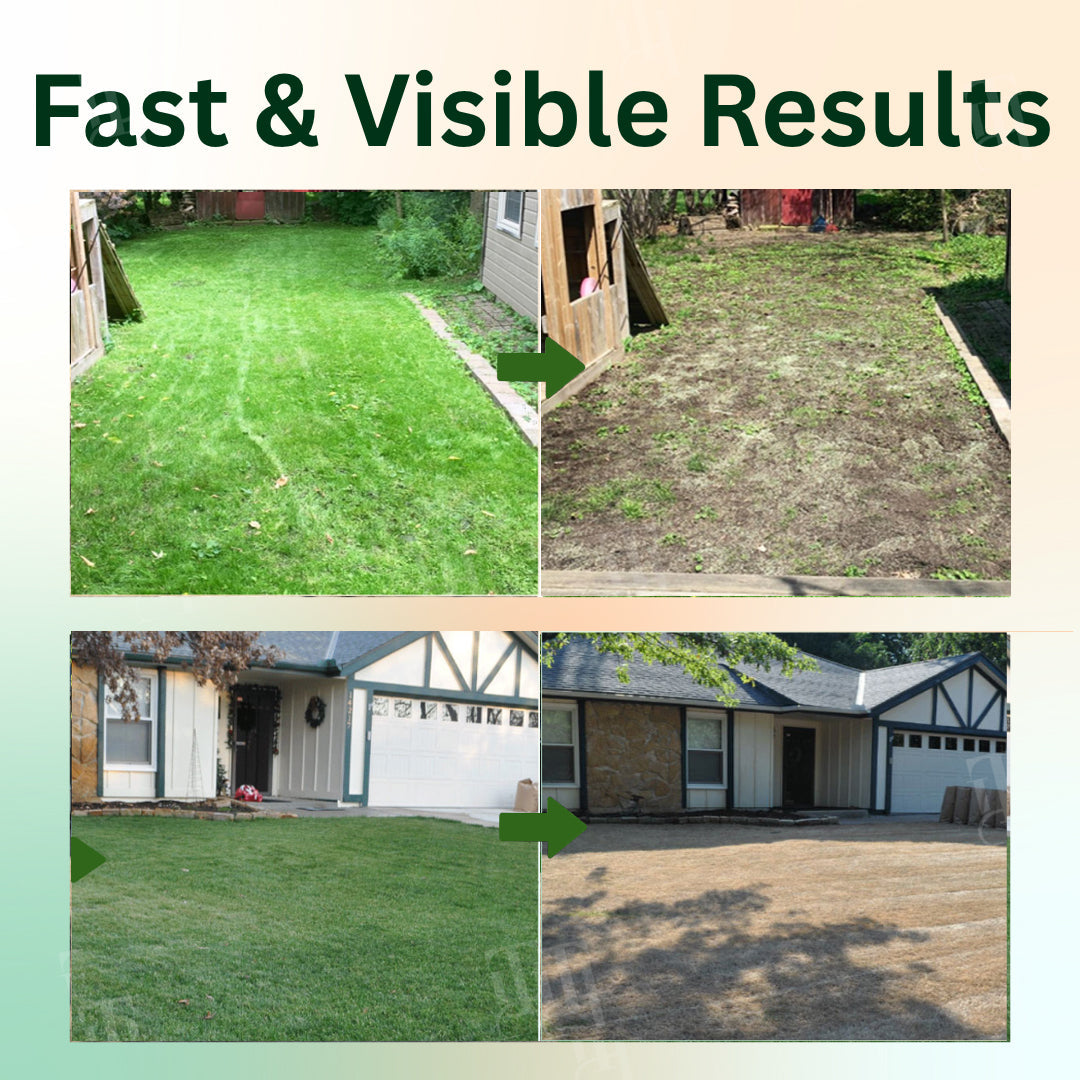 🌟 Official Store |🔥Hot Sale - 50% OFF🌿2 in 1 Max Power Herbicide