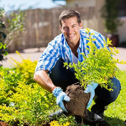 🔥Seasonal promotion🔥Yegbong™ Plant fertilizer enhancer