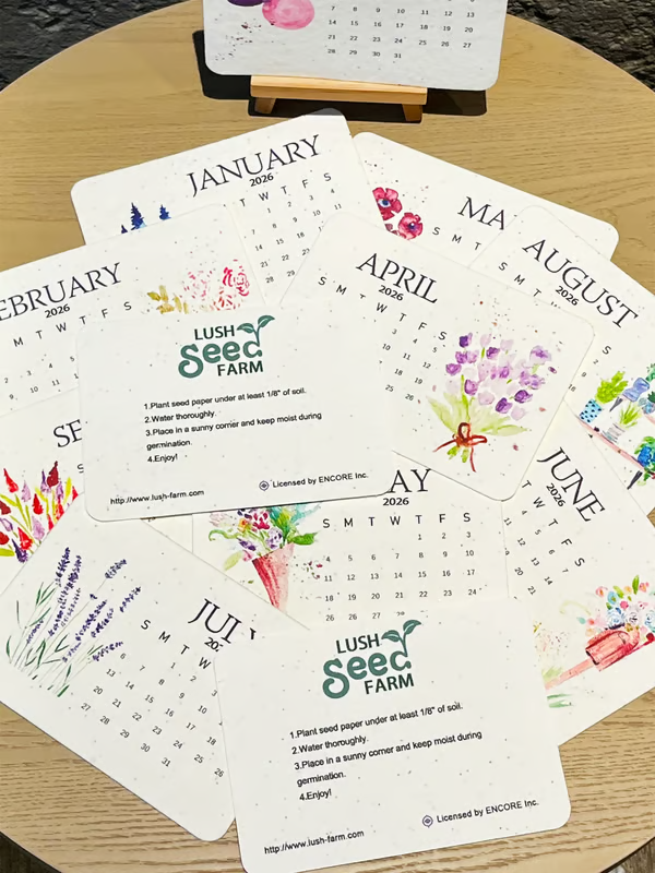 ✨🌱Eco-Friendly Plantable Love Seed Calendar 2026