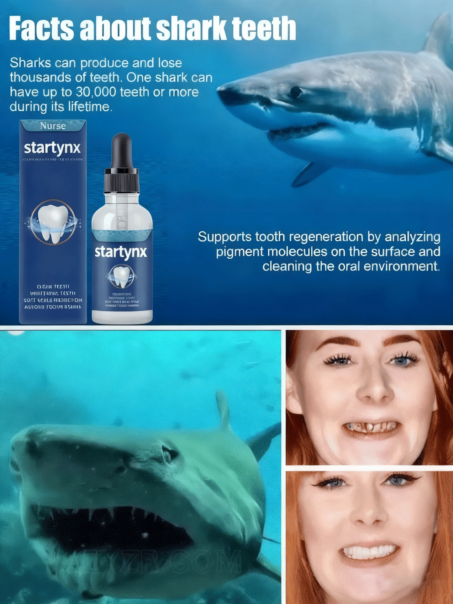 Tooth Regeneration Care Drops