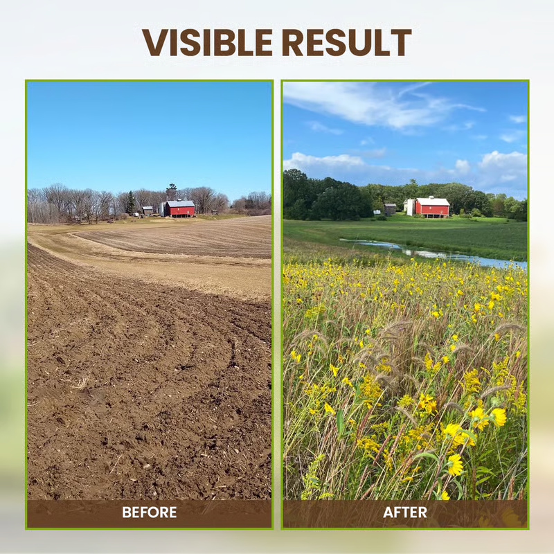 🔥Seasonal promotion🔥Yegbong™ Plant fertilizer enhancer