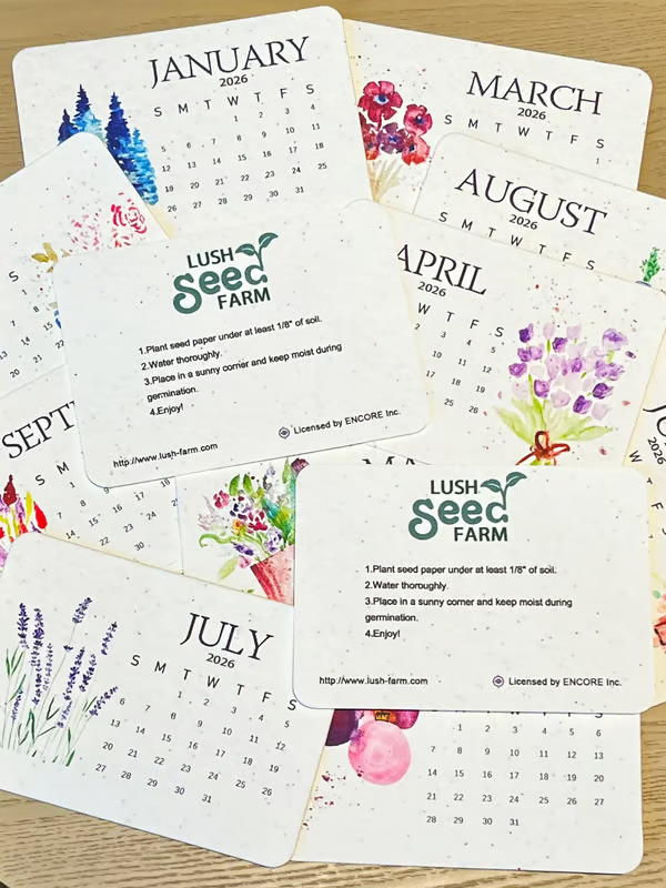 ✨🌱Eco-Friendly Plantable Love Seed Calendar 2026