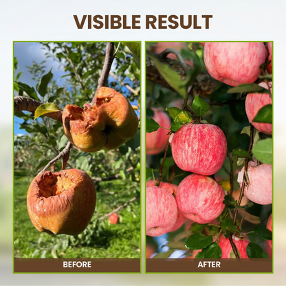 🔥Seasonal promotion🔥Yegbong™ Plant fertilizer enhancer